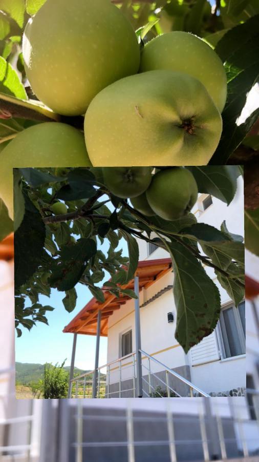 Hotel Apostoli Permet Exterior photo