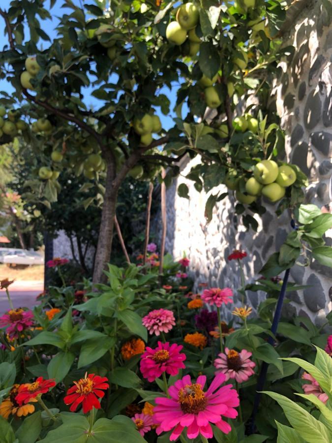 Hotel Apostoli Permet Exterior photo